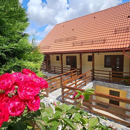 Matei Residence Braşov Esterno foto