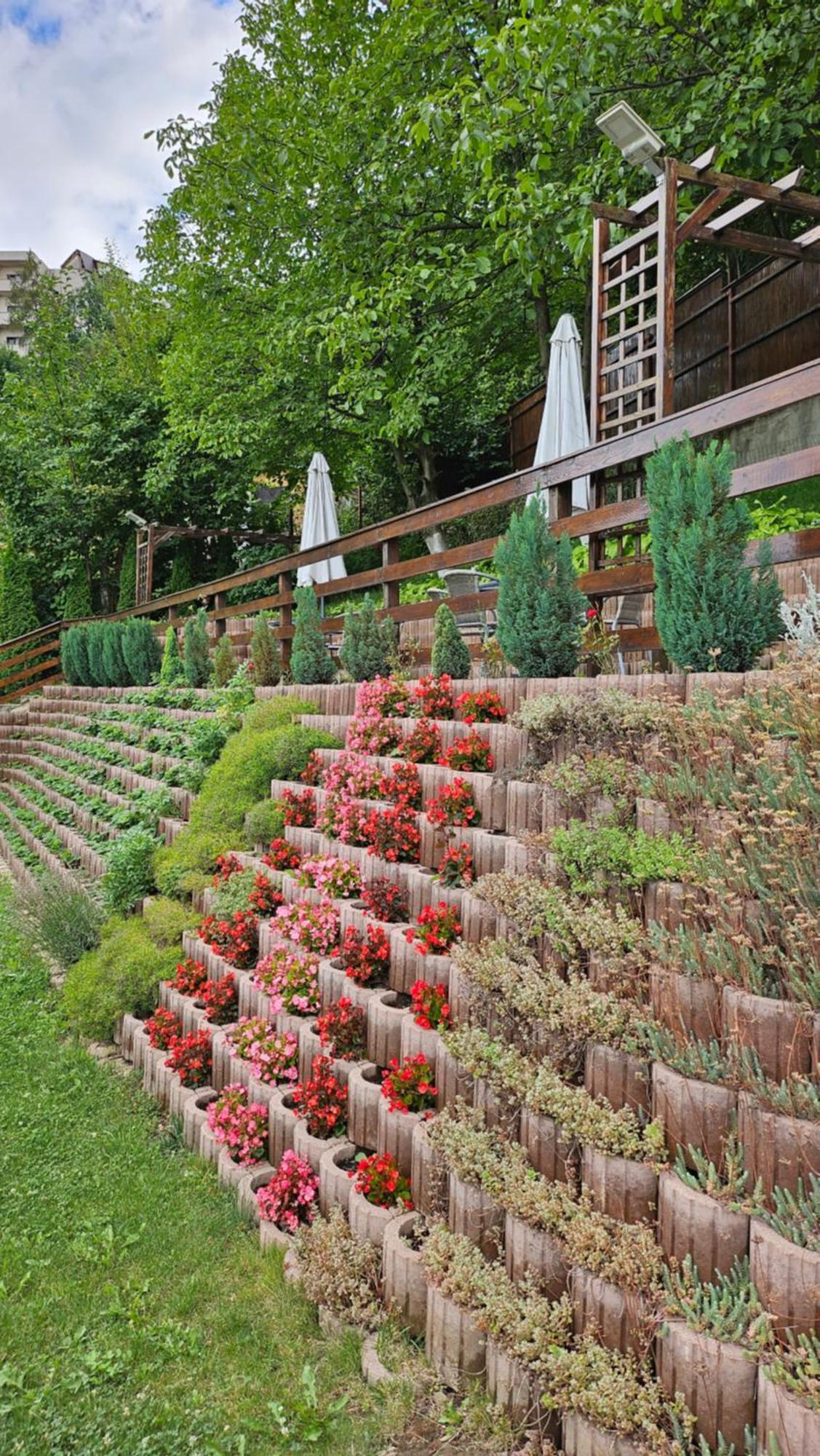Matei Residence Braşov Esterno foto