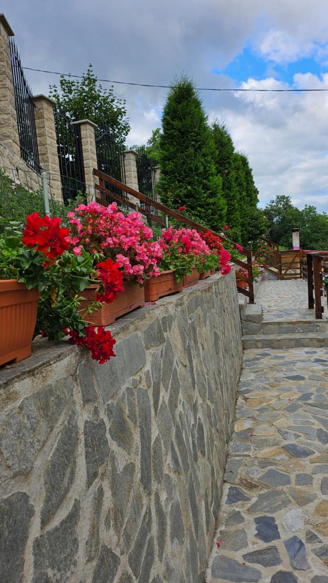 Matei Residence Braşov Esterno foto