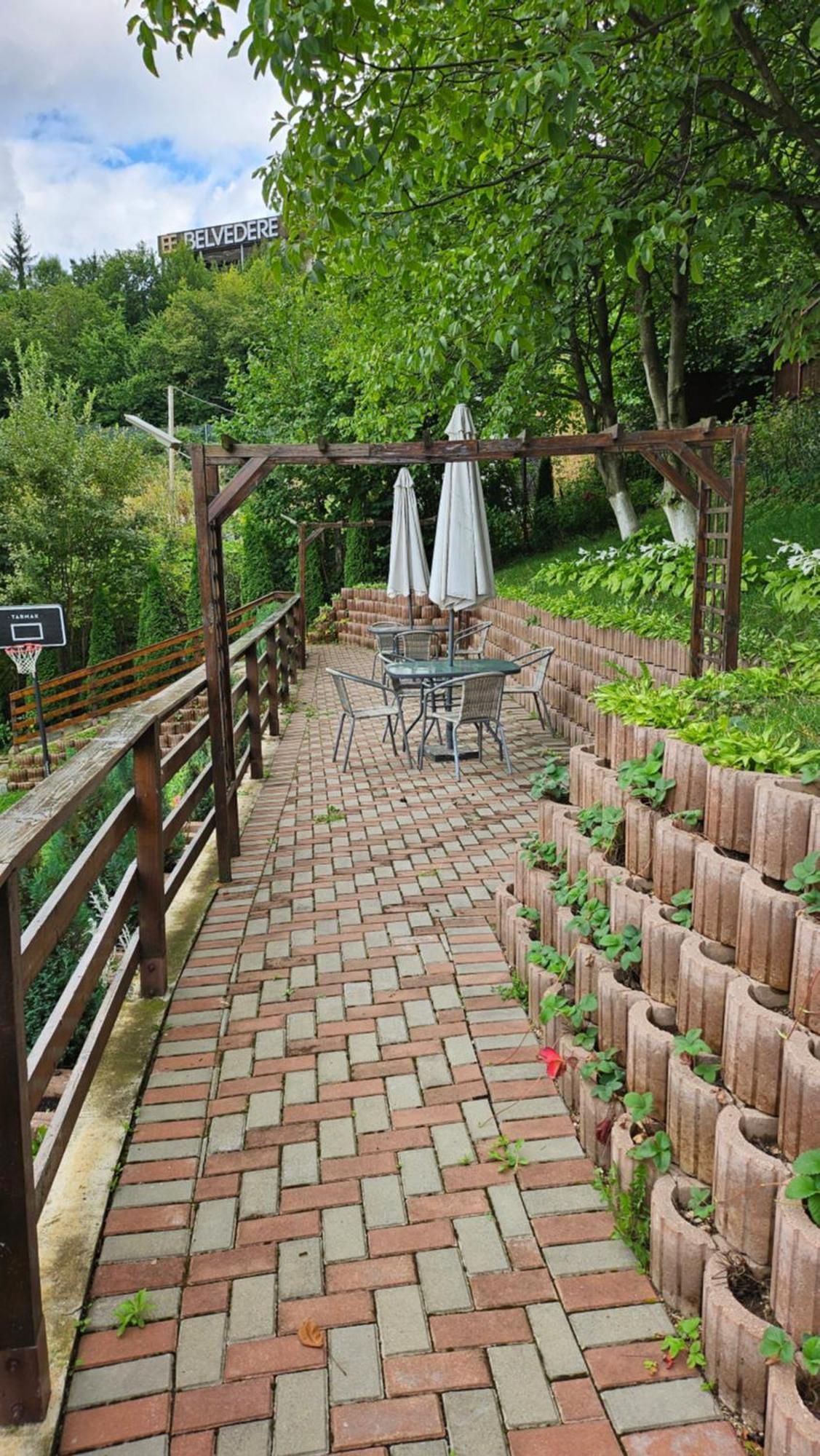 Matei Residence Braşov Esterno foto